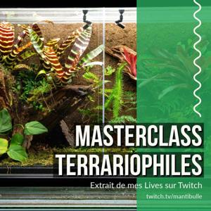 Masterclass terrariophiles