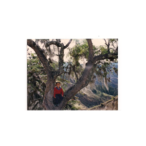 Recuerdos de un Niño en Tasco