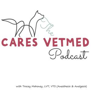 The CARES VetMed Podcast