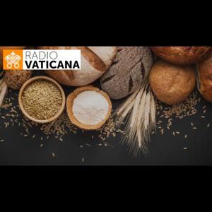 Indovina chi viene a pranzo