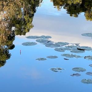 Coarse angling in Victoria, Australia