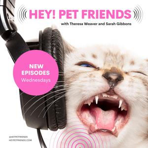 Hey! Pet Friends