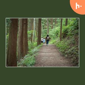 Kamil Pyciak | Forest Bathing and Its Benefits