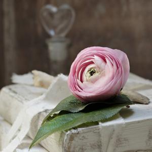 SUMMARIES OF BOOKS THAT INSPIRE