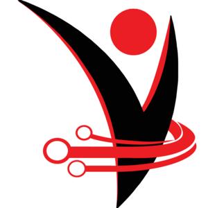 Vinet Internet Solutions