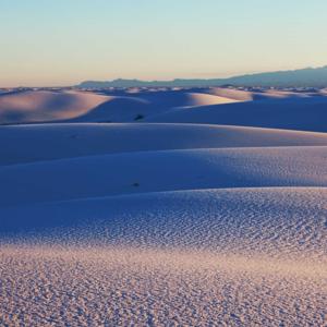 The Sahara’s Salt Trade: White Gold of the Desert