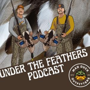 Under the Feathers