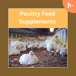 Poultry Feed Supplements