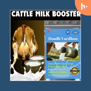 Enhancing Cattle Well-being and Growth with Rumeno's Cattle Feed Supplements