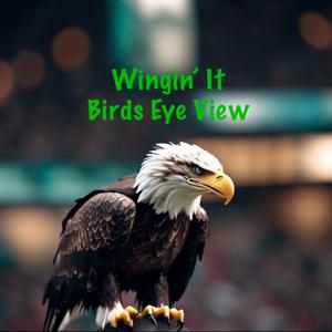 Wingin’ It - Birds Eye View