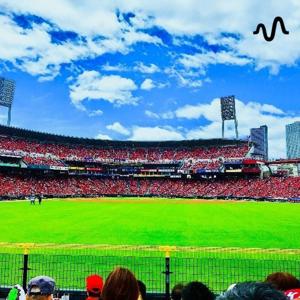 1日の終わりにカープを語りたい