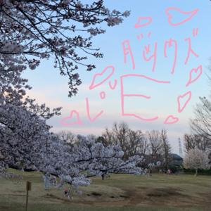 脳内ｽﾞLOVE