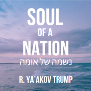 Soul of a Nation