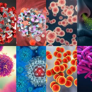 Infectious Diseases Literature Summary