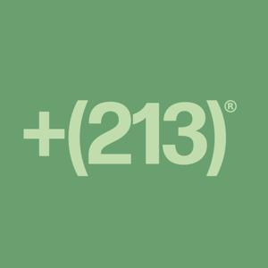 +(213)