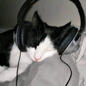 W1sdom has the wisdom!