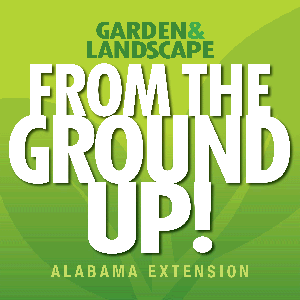 From the Ground Up