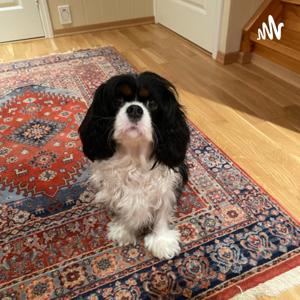 Min utfordring som funksjonshemmet