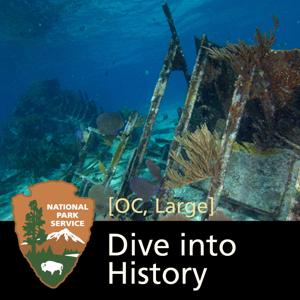 Dive into History: Shipwrecks of Biscayne National Park [OC, Large]