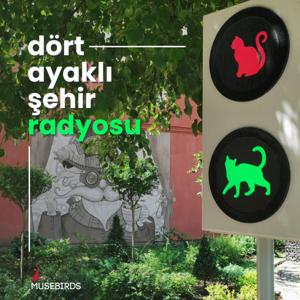Dört Ayaklı Şehir Radyosu