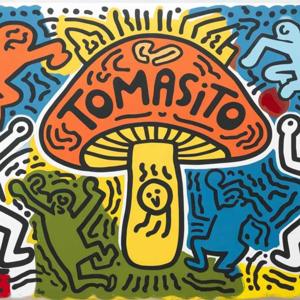 tomasito minneapolis minnesota
