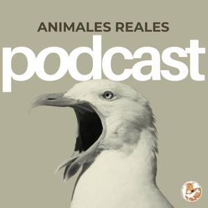 ANIMALES REALES