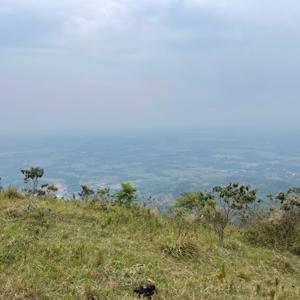 Responsabilidad social y digital