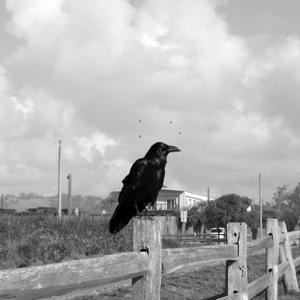 Certainty and Inner Authority: Owning Your Multi-dimensional Self