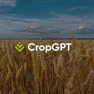 CropGPT - Grains