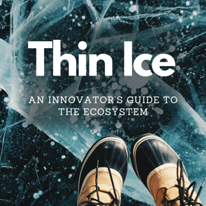 Thin Ice - An Innovator’s Guide to the Ecosystem