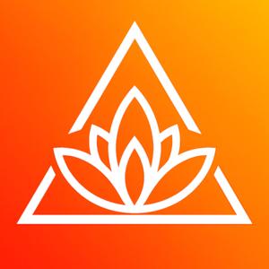 Actualyzr: Mastering Alignment of Mind, Body, and Spirit