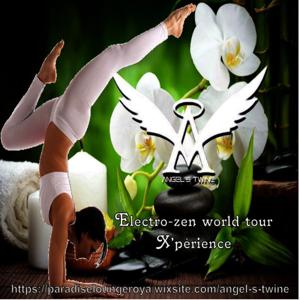 Electro-Zen World Tour X'Périence
