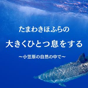 たまわきほふらの大きくひとつ息をする〜小笠原の自然の中で〜