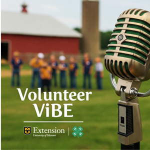 4-H Volunteer Vibe