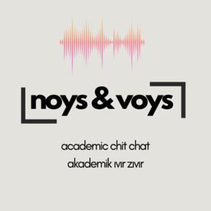 Noys and Voys