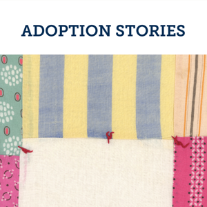 ADOPTION STORIES
