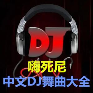 中文DJ舞曲大全