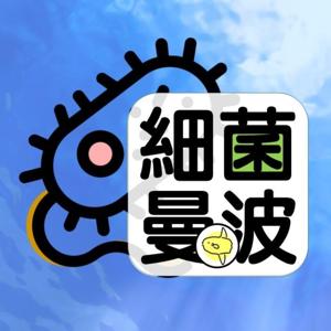 細菌曼波