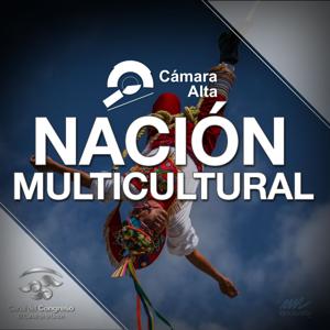 Nación multicultural