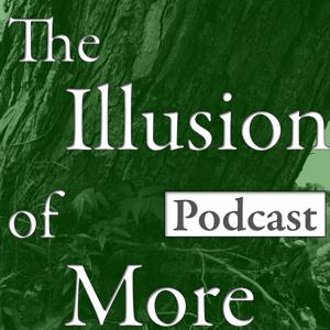 The Illusion of More