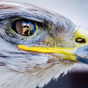 The Eagle's Eye Podcast