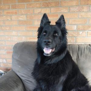 Sunburns & Cart Turn