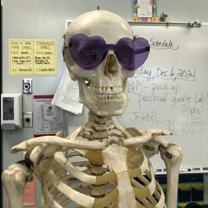 Anatomía General