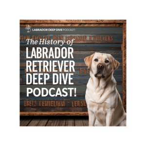 Dogreal.com - Dog Deep Dive podcast