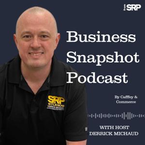 The Business Snapshot Podcast