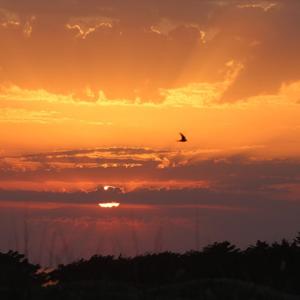 Bonjour la Haute-Loire