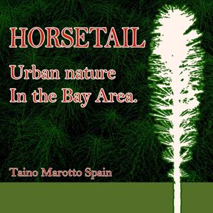 Horsetail: Urban Nature in the Bay Area