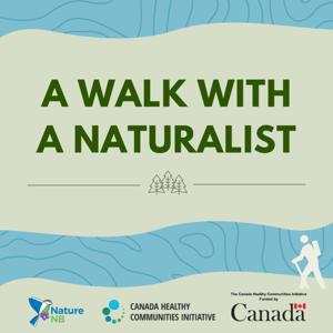 A Walk With a Naturalist