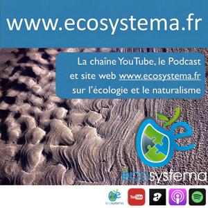 Ecosystema la chaîne nature