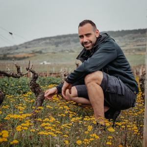 Sandro's WSET LEVEL 4 Diploma Learning Journey